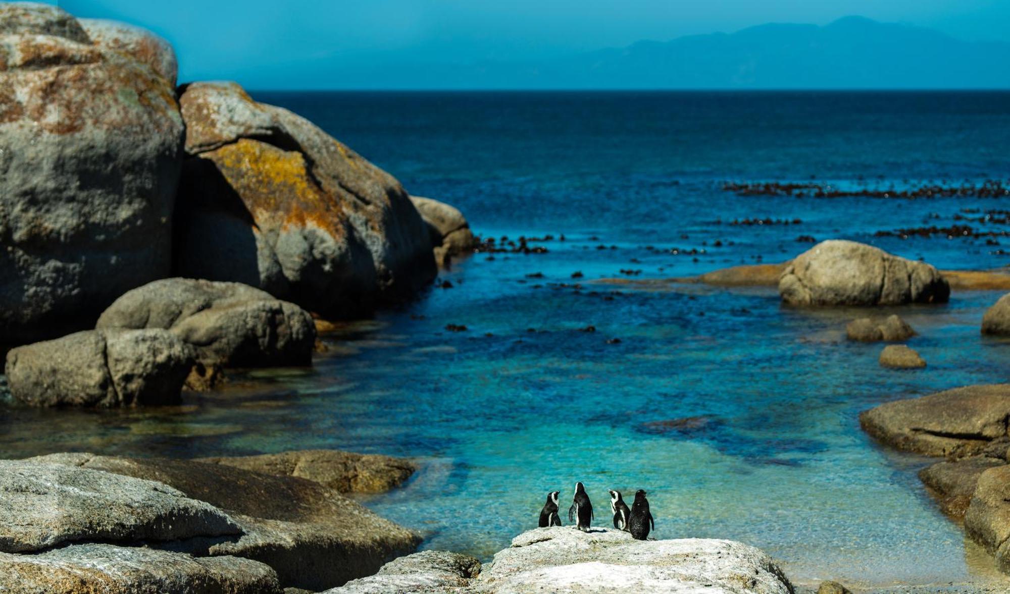 Eclectic Heritage Paradise Simonʼs Town Exterior foto